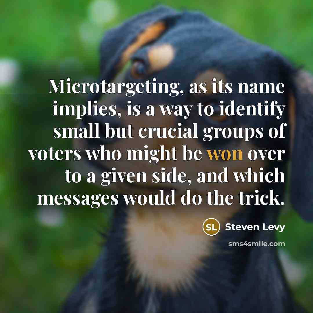 “Microtargeting, as its name implies, is a way to identify small but crucial groups of voters who might be won over to a given side, and which messages would do the trick.” quote by Steven Levy