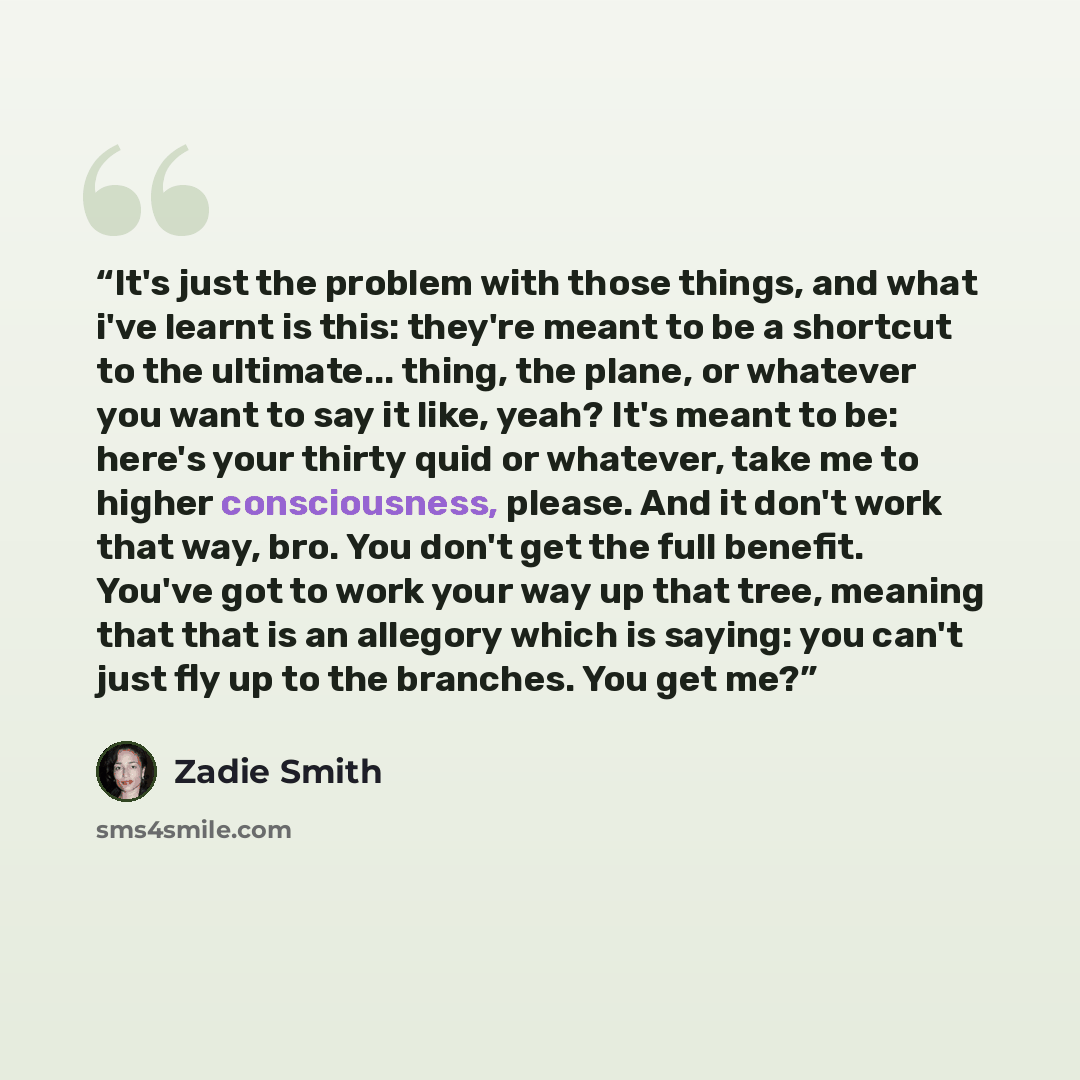 “It's just the problem with those things, and what i've learnt is this: they're meant to be a shortcut to the ultimate... thing, the plane, or whatever you want to say it like, yeah? It's meant to be: here's your thirty quid or whatever, take me to higher consciousness, please. And it don't work…” quote by Zadie Smith