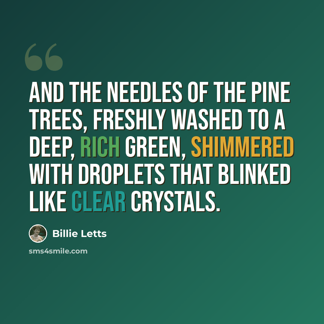 “And the needles of the pine trees, freshly washed to a deep, rich green, shimmered with droplets that blinked like clear crystals.” quote by Billie Letts