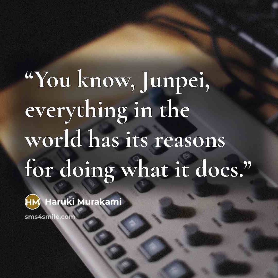 “You know, Junpei, everything in the world has its reasons for doing what it does.” quote by Haruki Murakami