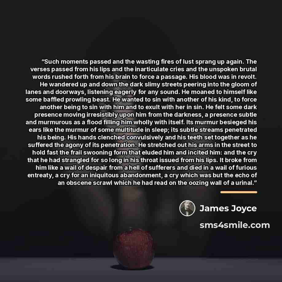 “Such moments passed and the wasting fires of lust sprang up again. The verses passed from his lips and the inarticulate cries and the unspoken brutal words rushed forth from his brain to force a passage. His blood was in revolt. He wandered up and down the dark slimy streets peering into the gloom…” quote by James Joyce