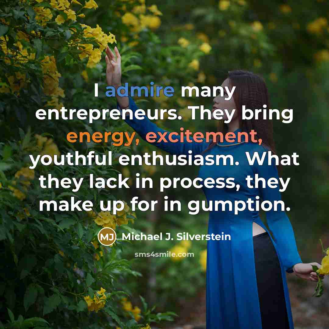 “I admire many entrepreneurs. They bring energy, excitement, youthful enthusiasm. What they lack in process, they make up for in gumption.” quote by Michael J. Silverstein