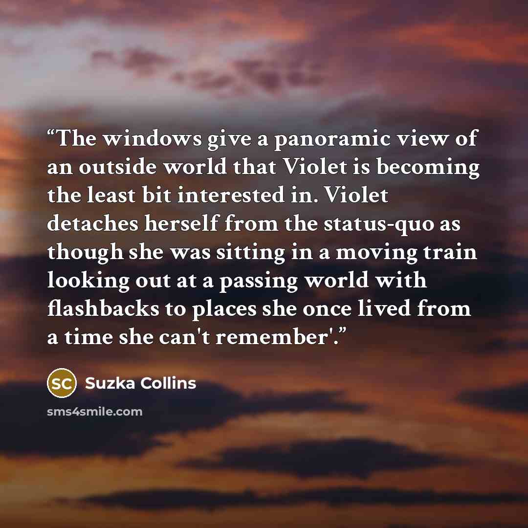 “The windows give a panoramic view of an outside world that Violet is becoming the least bit interested in. Violet detaches herself from the status-quo as though she was sitting in a moving train looking out at a passing world with flashbacks to places she once lived from a time she can't remember'.” quote by Suzka Collins