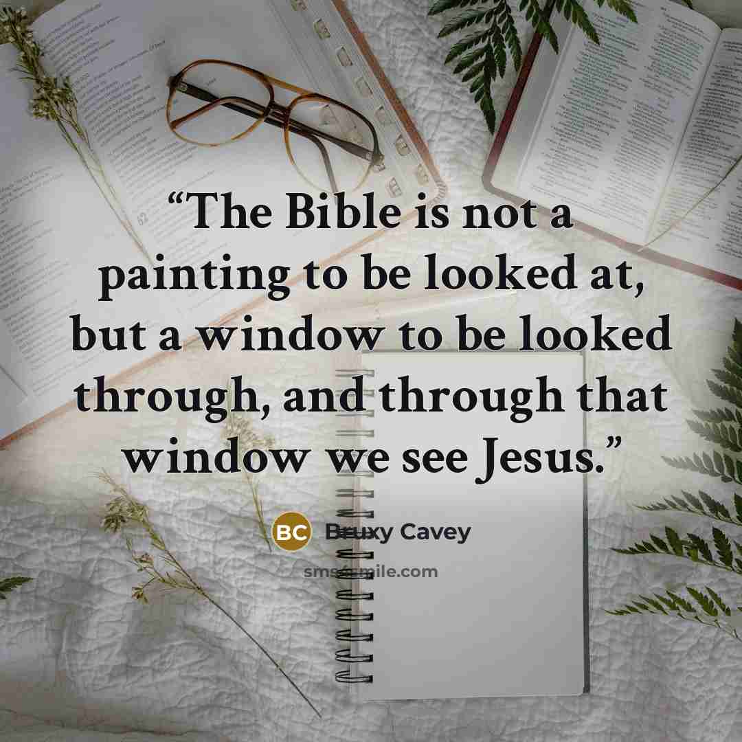 “The Bible is not a painting to be looked at, but a window to be looked through, and through that window we see Jesus.” quote by Bruxy Cavey
