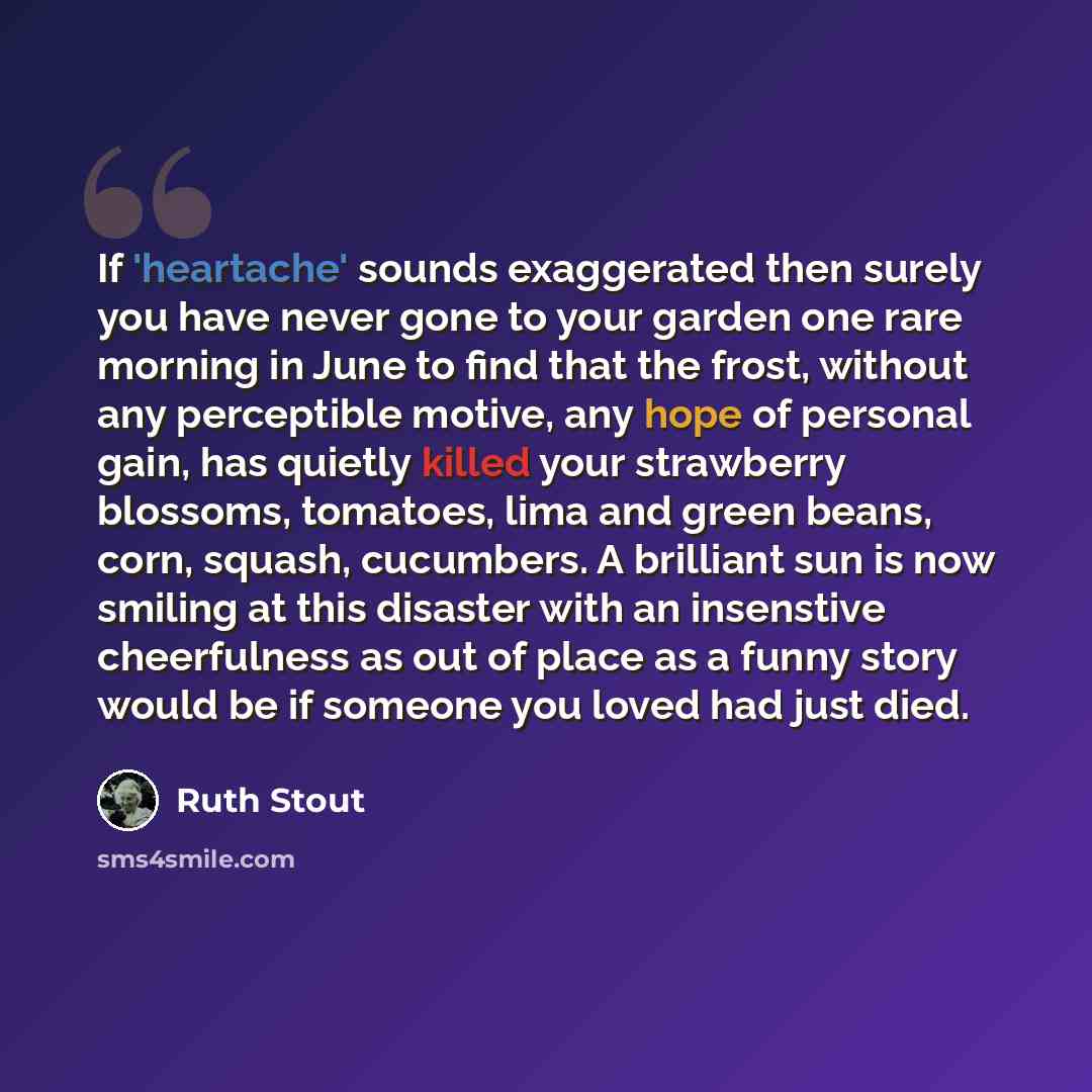 “If 'heartache' sounds exaggerated then surely you have never gone to your garden one rare morning in June to find that the frost, without any perceptible motive, any hope of personal gain, has quietly killed your strawberry blossoms, tomatoes, lima and green beans, corn, squash, cucumbers. A…” quote by Ruth Stout