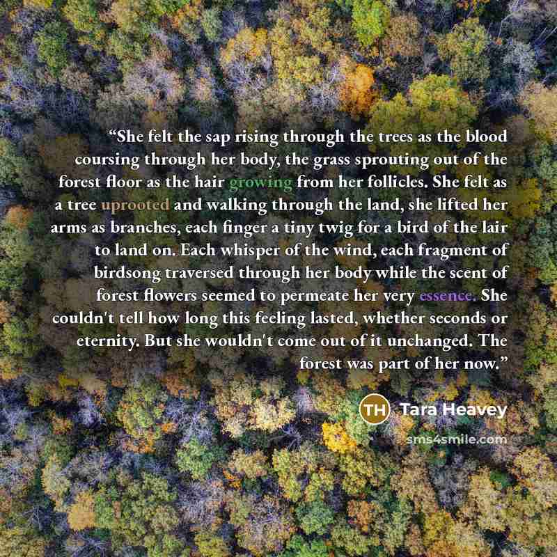 “She felt the sap rising through the trees as the blood coursing through her body, the grass sprouting out of the forest floor as the hair growing from her follicles. She felt as a tree uprooted and walking through the land, she lifted her arms as branches, each finger a tiny twig for a bird of the…” quote by Tara Heavey