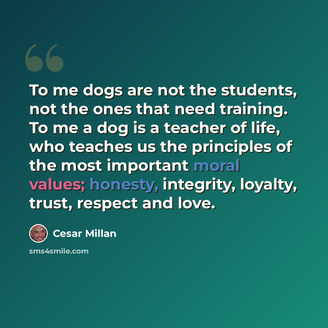 “To me dogs are not the students, not the ones that need training. To me a dog is a teacher of life, who teaches us the principles of the most important moral values; honesty, integrity, loyalty, trust, respect and love.” quote by Cesar Millan
