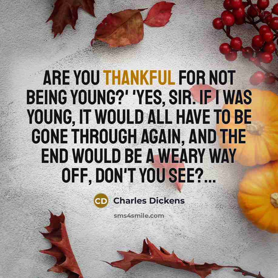 “Are you thankful for not being young?' 'Yes, sir. If I was young, it would all have to be gone through again, and the end would be a weary way off, don't you see?...” quote by Charles Dickens