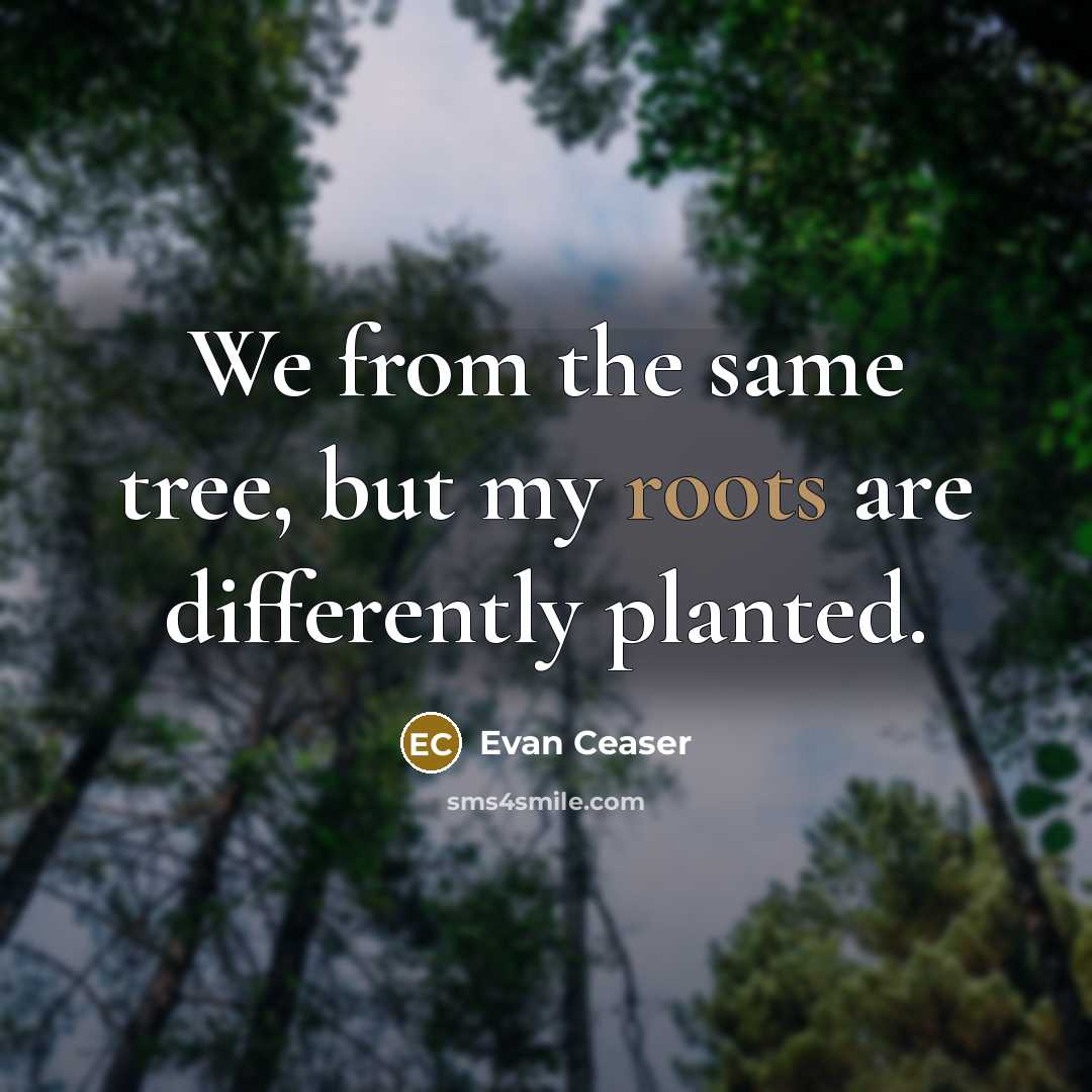 “We from the same tree, but my roots are differently planted.” quote by Evan Ceaser
