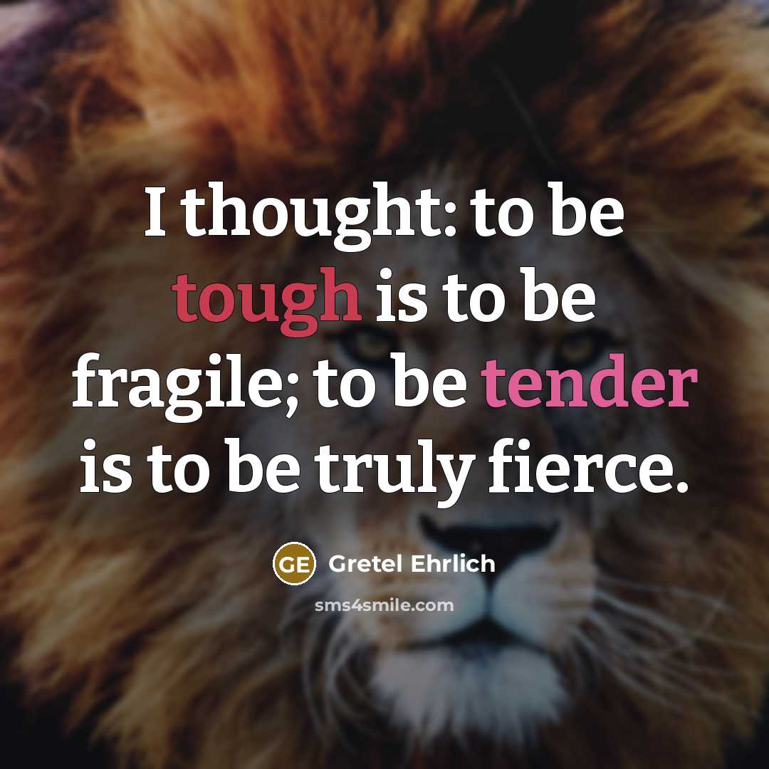 “I thought: to be tough is to be fragile; to be tender is to be truly fierce.” quote by Gretel Ehrlich