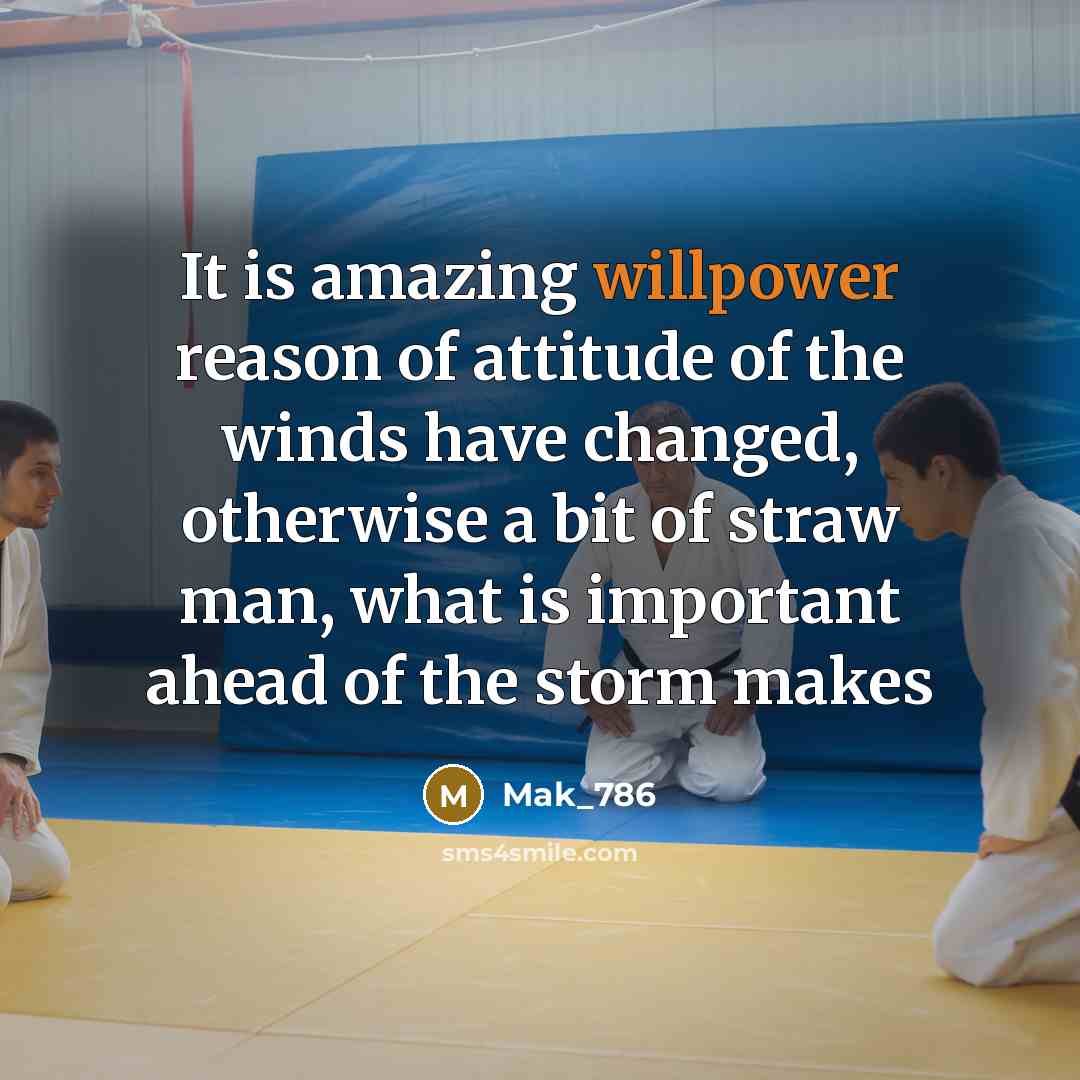 “It is amazing willpower reason of attitude of the winds have changed, otherwise a bit of straw man, what is important ahead of the storm makes” quote by Mak_786
