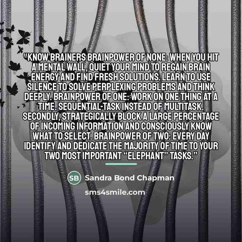 “Know Brainers Brainpower of none: When you hit a mental wall, quiet your mind to regain brain energy and find fresh solutions. Learn to use silence to solve perplexing problems and think deeply. Brainpower of one: Work on one thing at a time. Sequential-task instead of multitask. Secondly…” quote by Sandra Bond Chapman