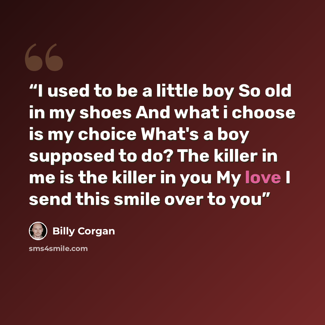 “I used to be a little boy So old in my shoes And what i choose is my choice What's a boy supposed to do? The killer in me is the killer in you My love I send this smile over to you” quote by Billy Corgan