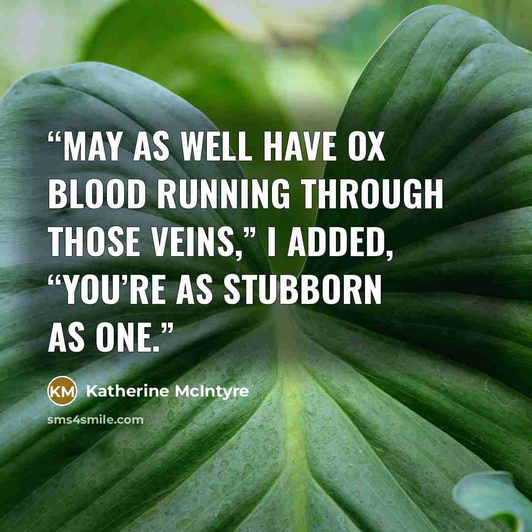 “May as well have ox blood running through those veins,” I added, “You’re as stubborn as one.” quote by Katherine McIntyre