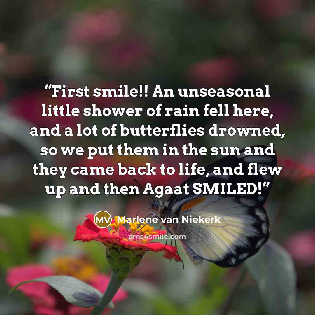 “First smile!! An unseasonal little shower of rain fell here, and a lot of butterflies drowned, so we put them in the sun and they came back to life, and flew up and then Agaat SMILED!” quote by Marlene Van Niekerk