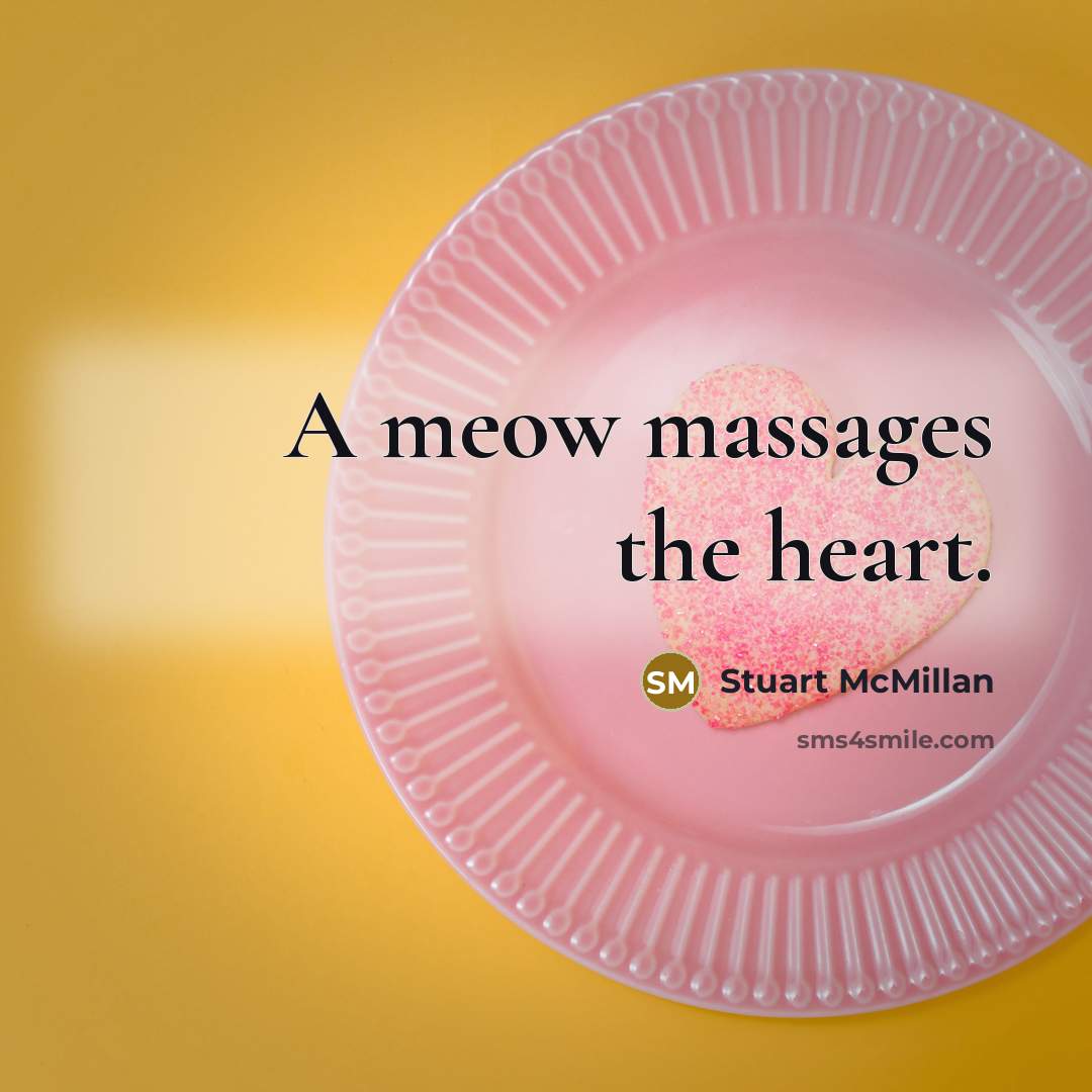 “A meow massages the heart.” quote by Stuart McMillan