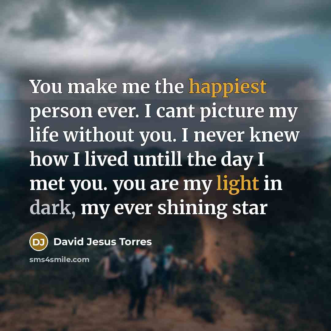 “You make me the happiest person ever. I cant picture my life without you. I never knew how I lived untill the day I met you. you are my light in dark, my ever shining star” quote by David Jesus Torres