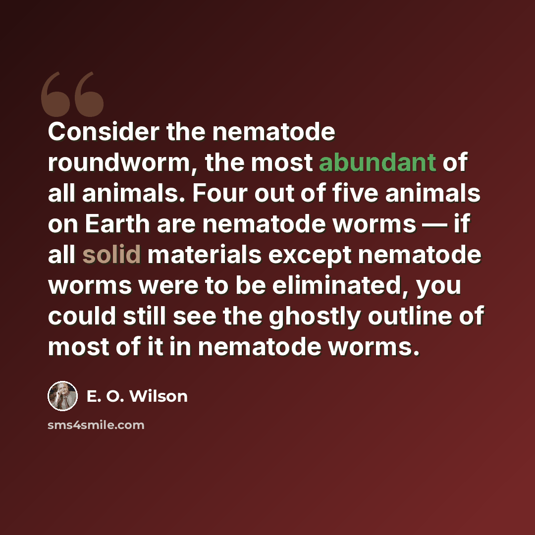 “Consider the nematode roundworm, the most abundant of all animals. Four out of five animals on Earth are nematode worms — if all solid materials except nematode worms were to be eliminated, you could still see the ghostly outline of most of it in nematode worms.” quote by E. O. Wilson