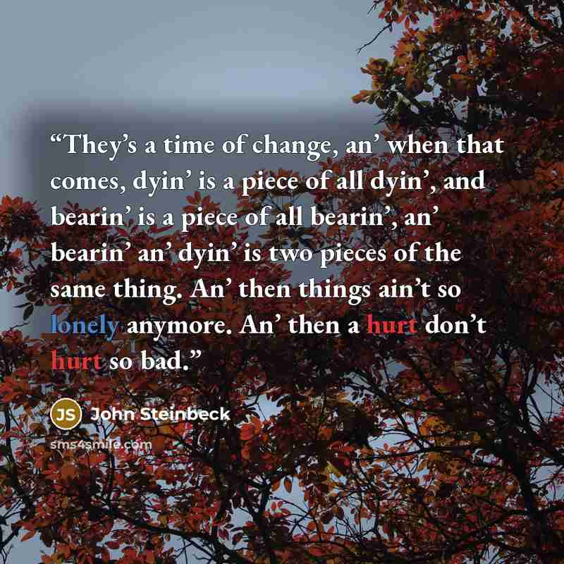 “They’s a time of change, an’ when that comes, dyin’ is a piece of all dyin’, and bearin’ is a piece of all bearin’, an’ bearin’ an’ dyin’ is two pieces of the same thing. An’ then things ain’t so lonely anymore. An’ then a hurt don’t hurt so bad.” quote by John Steinbeck