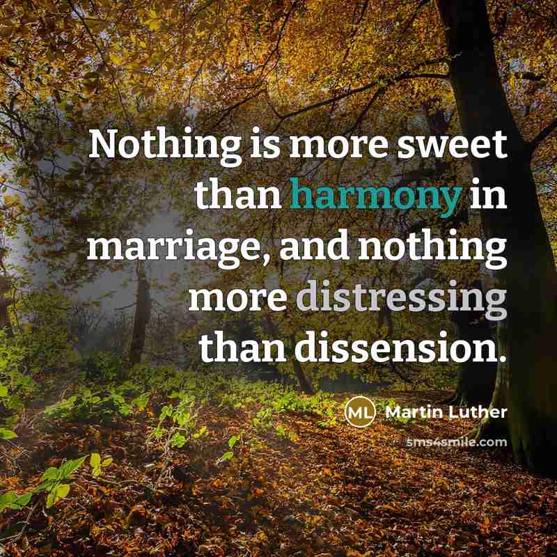 “Nothing is more sweet than harmony in marriage, and nothing more distressing than dissension.” quote by Martin Luther