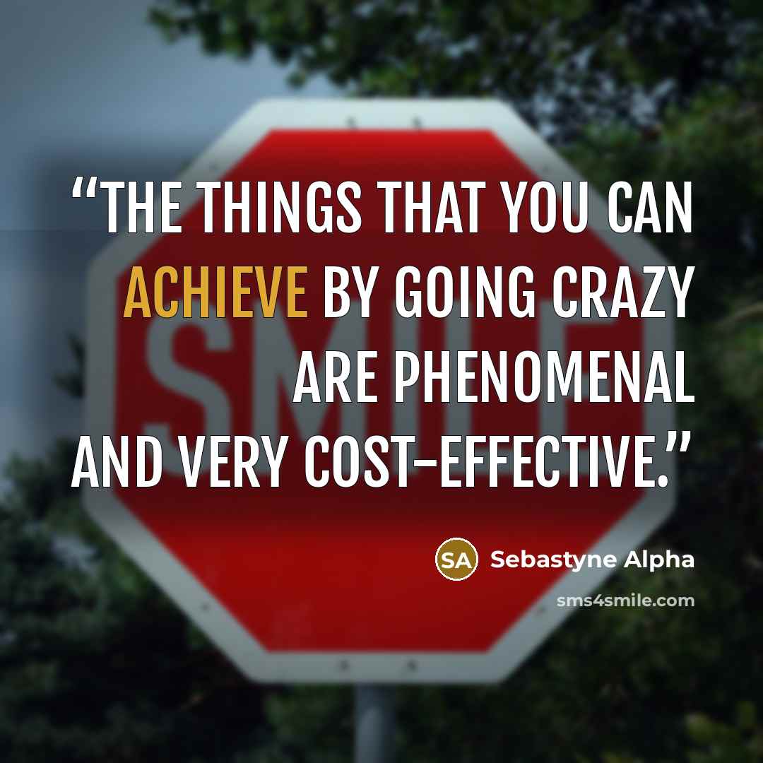“The things that you can achieve by going crazy are phenomenal and very cost-effective.” quote by Sebastyne Alpha