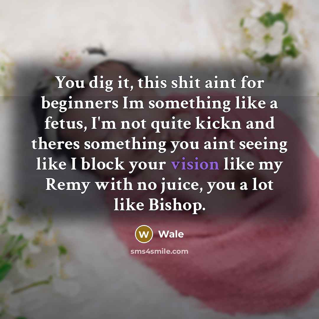 “You dig it, this shit aint for beginners Im something like a fetus, I'm not quite kickn and theres something you aint seeing like I block your vision like my Remy with no juice, you a lot like Bishop.” quote by Wale