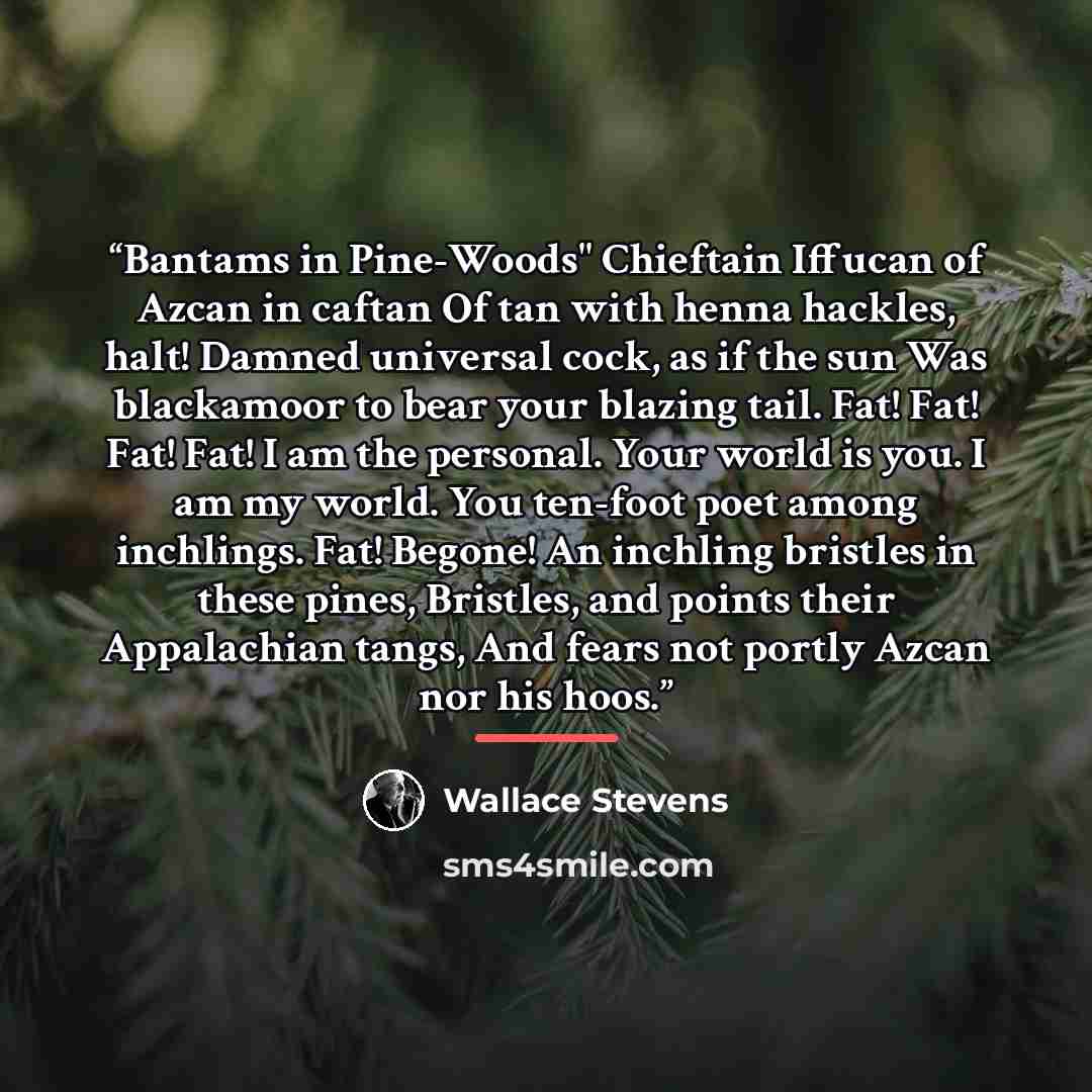 “Bantams in Pine-Woods" Chieftain Iffucan of Azcan in caftan Of tan with henna hackles, halt! Damned universal cock, as if the sun Was blackamoor to bear your blazing tail. Fat! Fat! Fat! Fat! I am the personal. Your world is you. I am my world. You ten-foot poet among inchlings. Fat! Begone! An…” quote by Wallace Stevens