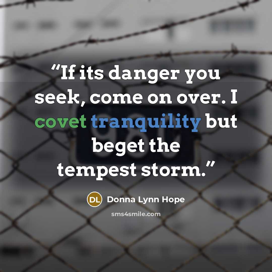 “If its danger you seek, come on over. I covet tranquility but beget the tempest storm.” quote by Donna Lynn Hope