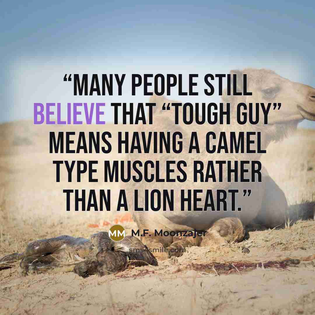 “Many people still believe that “tough guy” means having a camel type muscles rather than a lion heart.” quote by M.F. Moonzajer