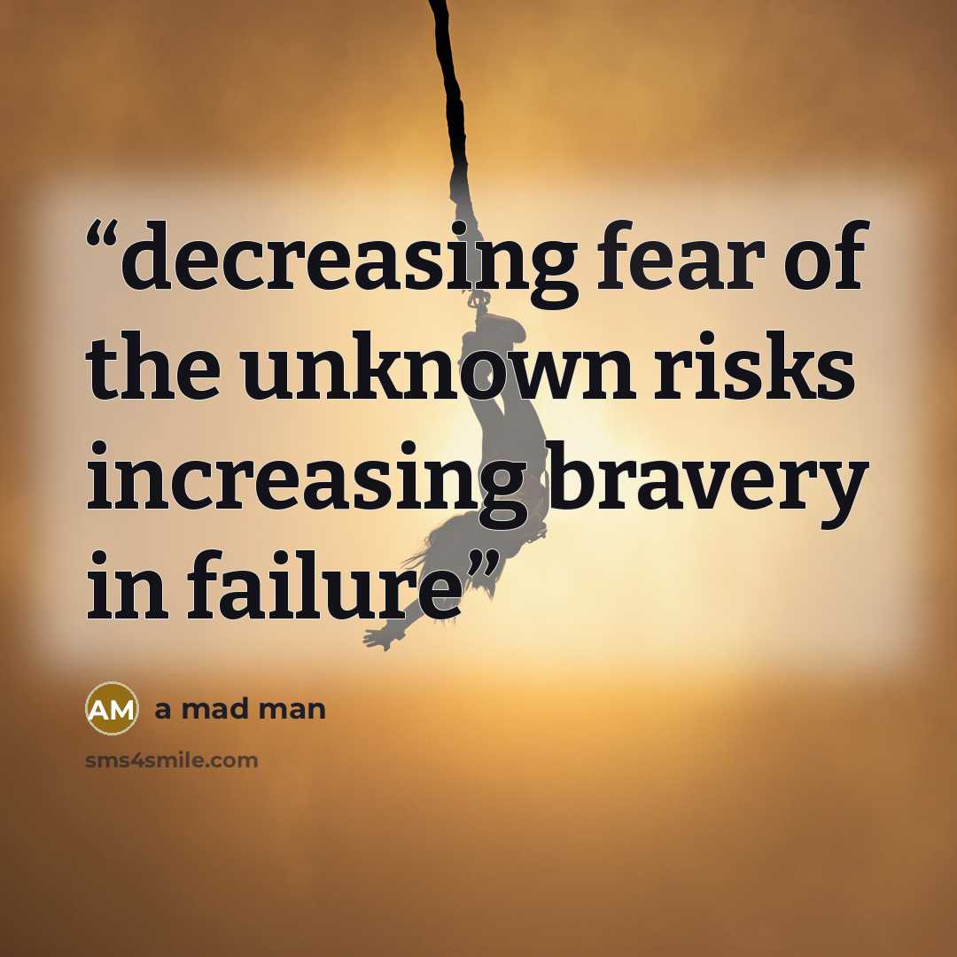 “decreasing fear of the unknown risks increasing bravery in failure” quote by a mad man