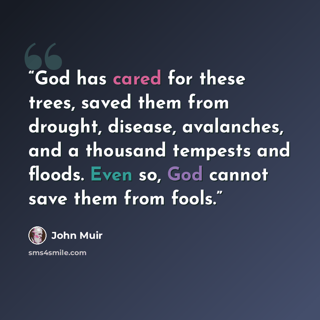 “God has cared for these trees, saved them from drought, disease, avalanches, and a thousand tempests and floods. Even so, God cannot save them from fools.” quote by John Muir