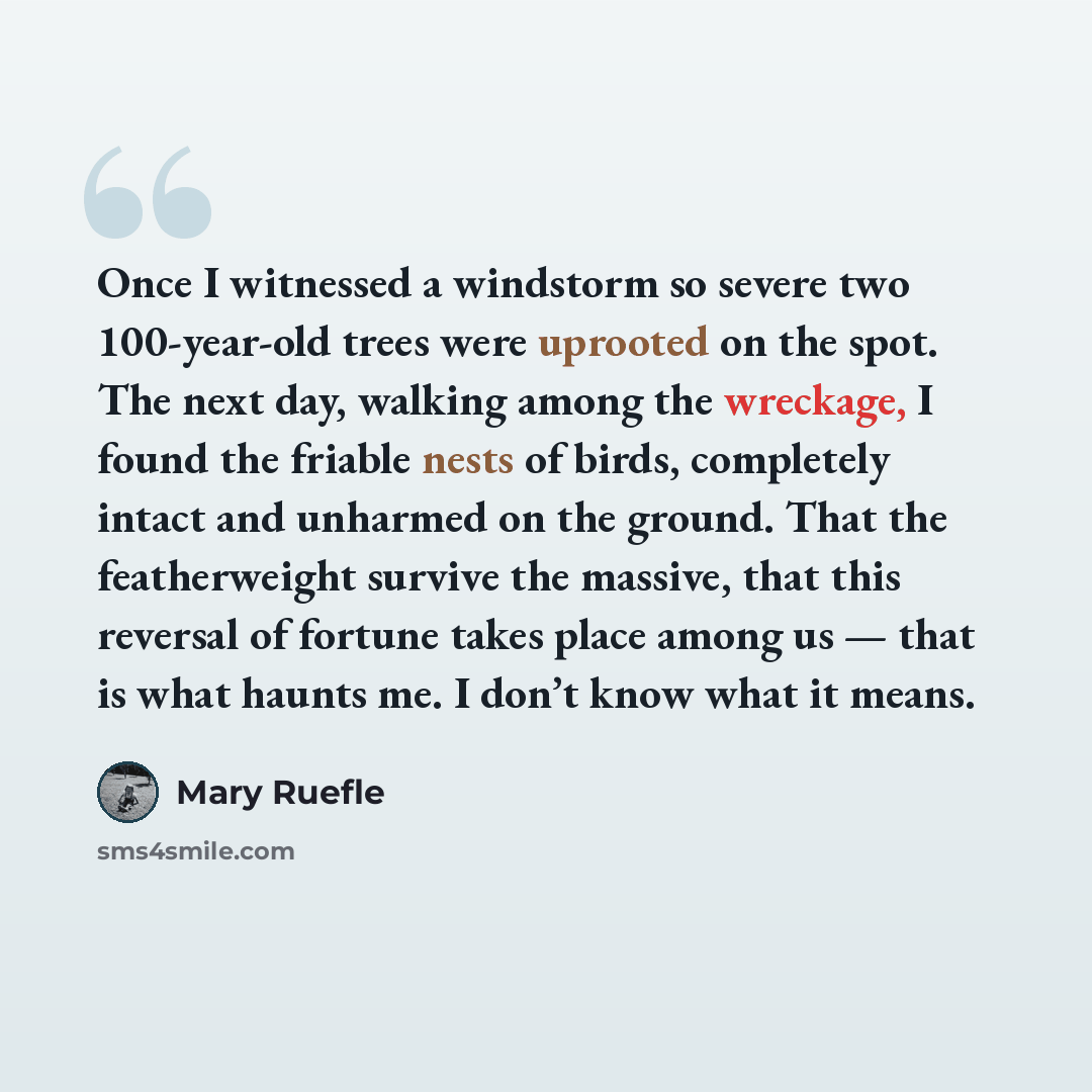 “Once I witnessed a windstorm so severe two 100-year-old trees were uprooted on the spot. The next day, walking among the wreckage, I found the friable nests of birds, completely intact and unharmed on the ground. That the featherweight survive the massive, that this reversal of fortune takes place…” quote by Mary Ruefle
