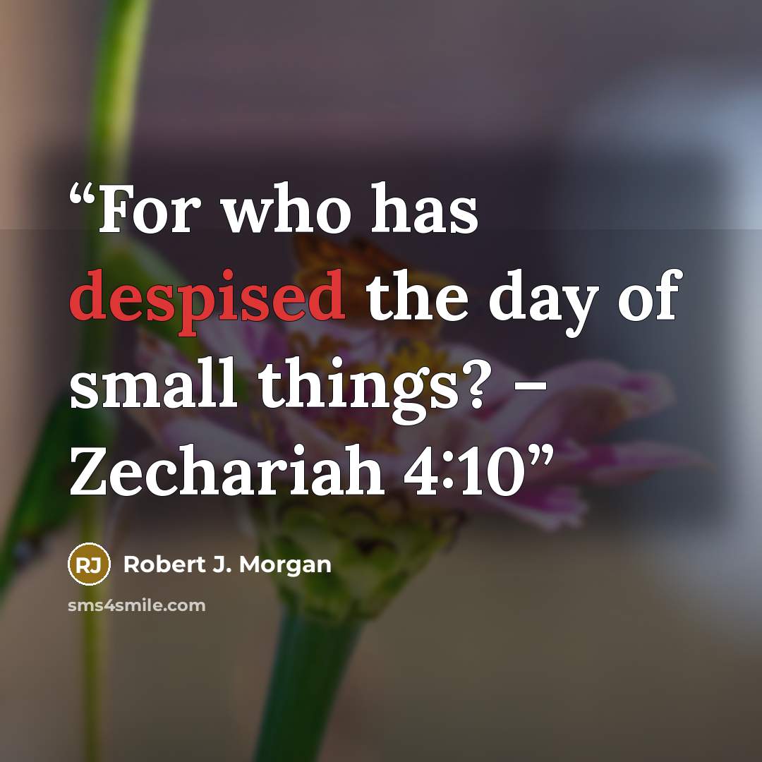 “For who has despised the day of small things? – Zechariah 4:10” quote by Robert J. Morgan