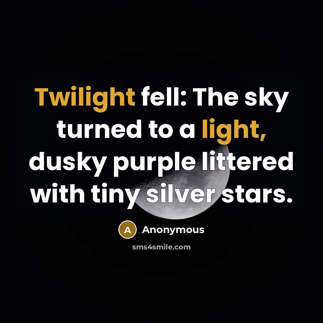 “Twilight fell: The sky turned to a light, dusky purple littered with tiny silver stars.” quote by Anonymous