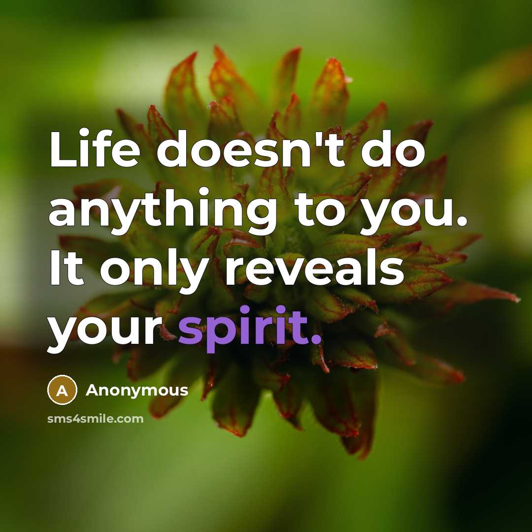 “Life doesn't do anything to you. It only reveals your spirit.” quote by Anonymous
