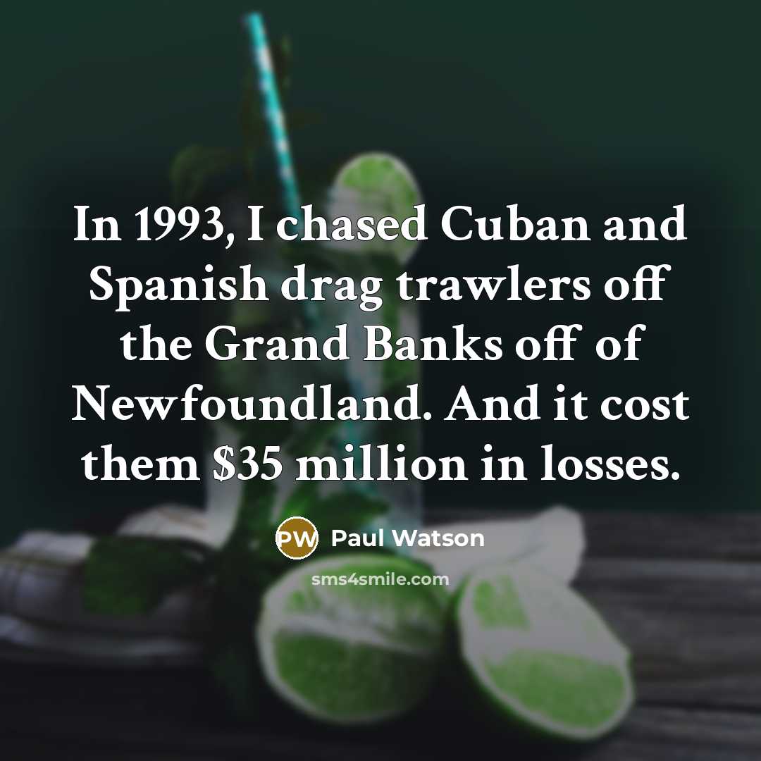 “In 1993, I chased Cuban and Spanish drag trawlers off the Grand Banks off of Newfoundland. And it cost them $35 million in losses.” quote by Paul Watson