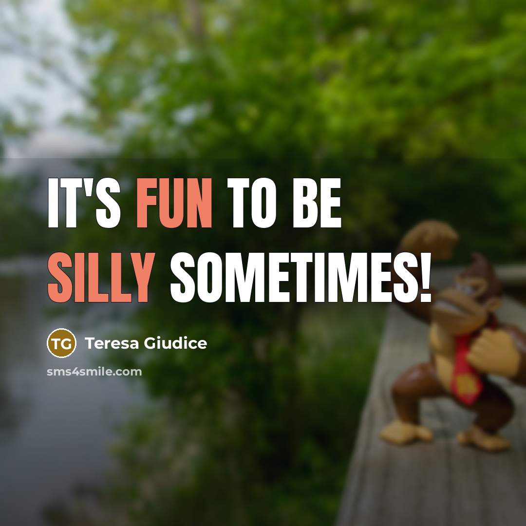“It's fun to be silly sometimes!” quote by Teresa Giudice