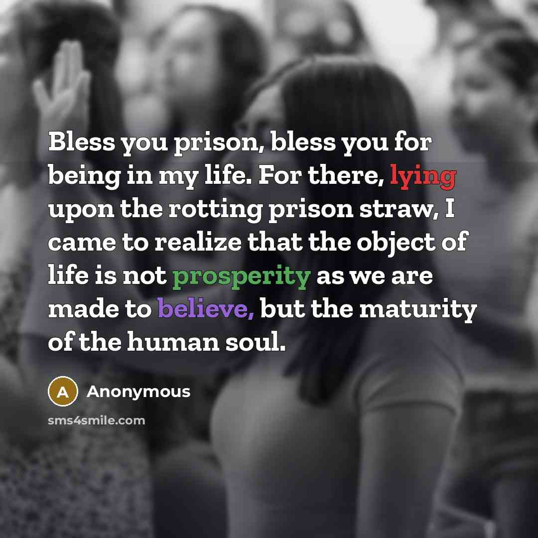 “Bless you prison, bless you for being in my life. For there, lying upon the rotting prison straw, I came to realize that the object of life is not prosperity as we are made to believe, but the maturity of the human soul.” quote by Anonymous