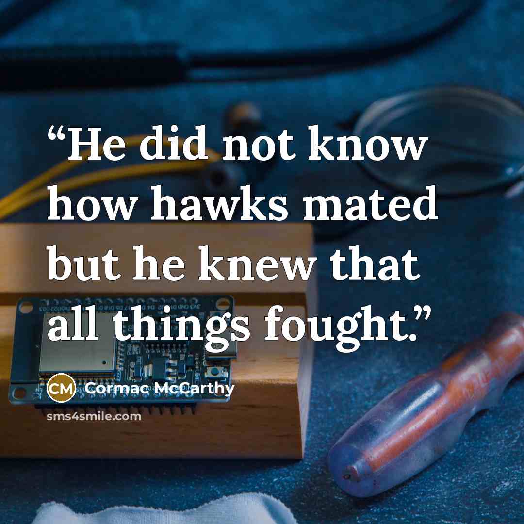 “He did not know how hawks mated but he knew that all things fought.” quote by Cormac McCarthy