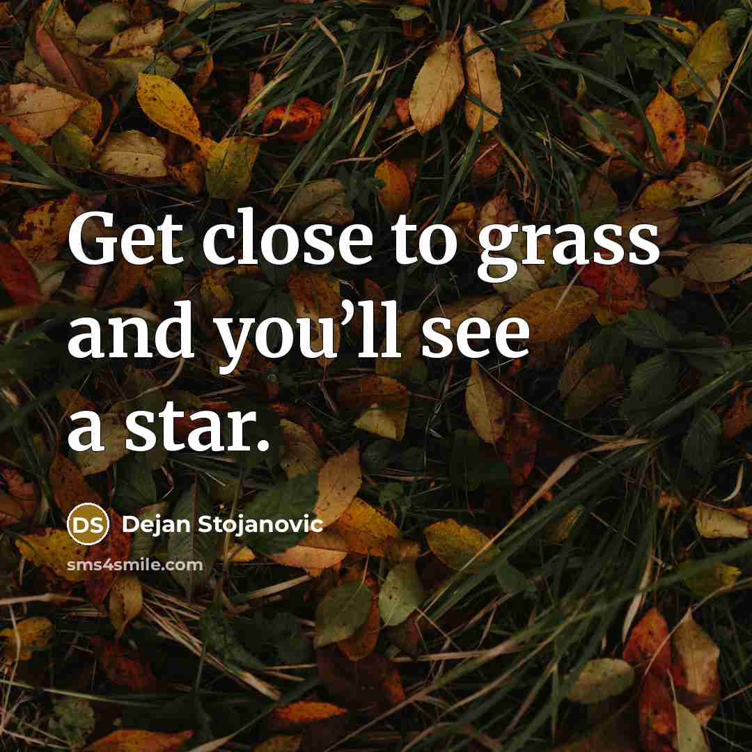 “Get close to grass and you’ll see a star.” quote by Dejan Stojanovic