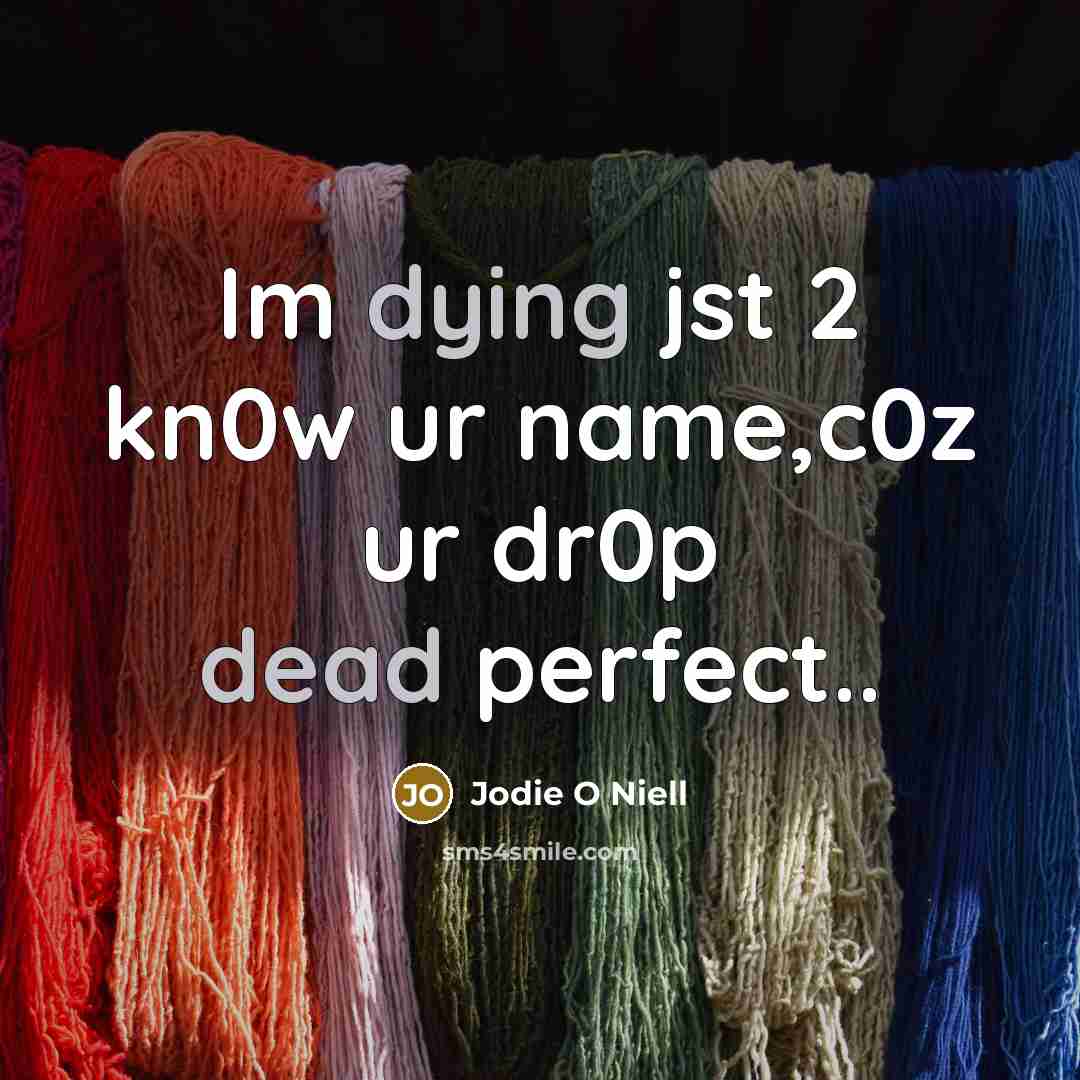 “Im dying jst 2 kn0w ur name,c0z ur dr0p dead perfect..” quote by Jodie O Niell