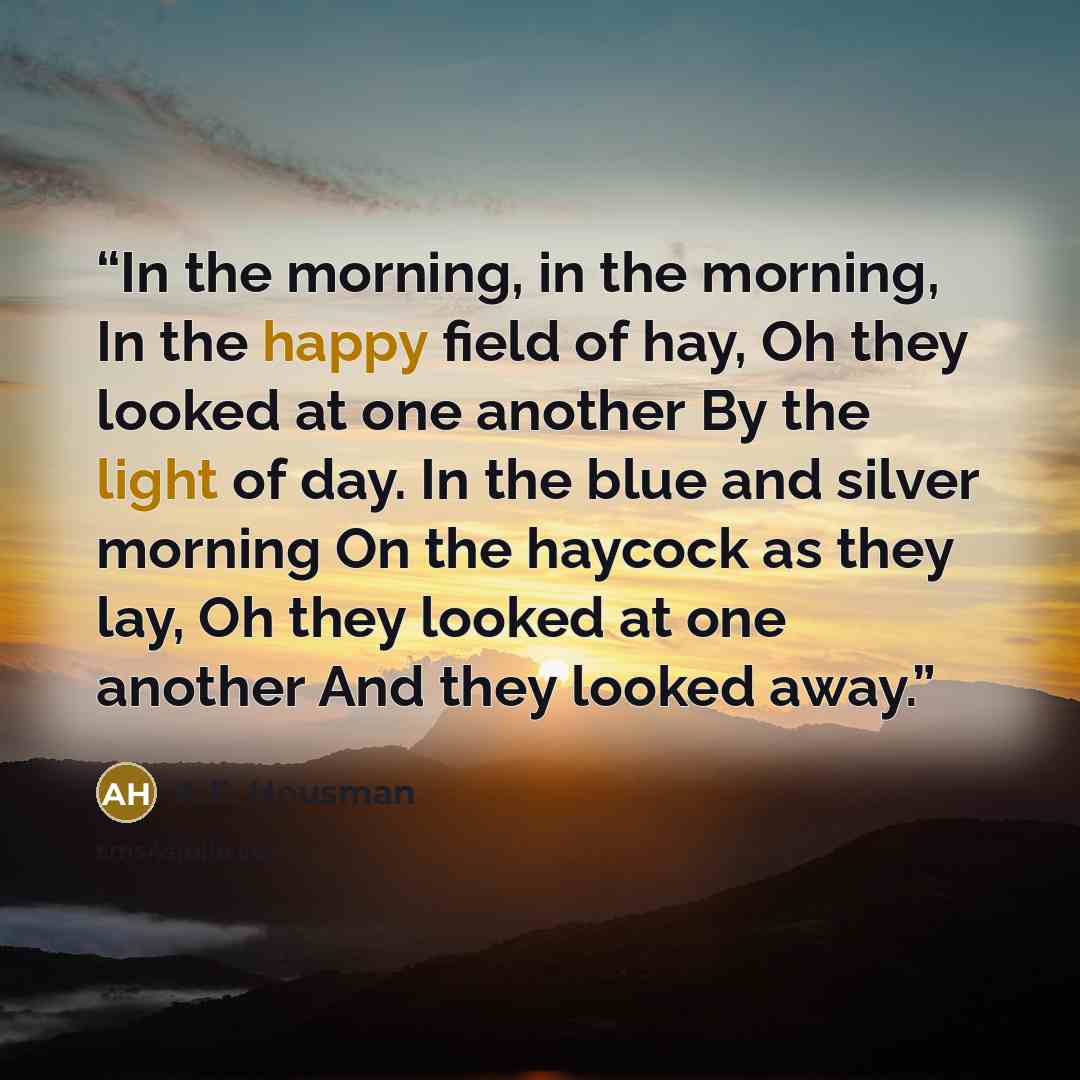 “In the morning, in the morning, In the happy field of hay, Oh they looked at one another By the light of day. In the blue and silver morning On the haycock as they lay, Oh they looked at one another And they looked away.” quote by A.E. Housman