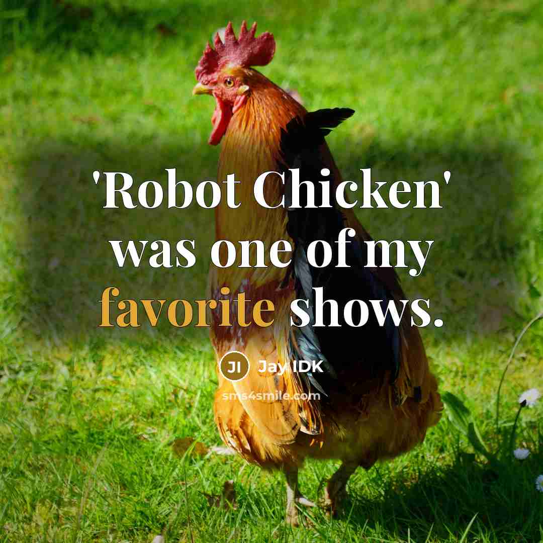 “'Robot Chicken' was one of my favorite shows.” quote by Jay IDK