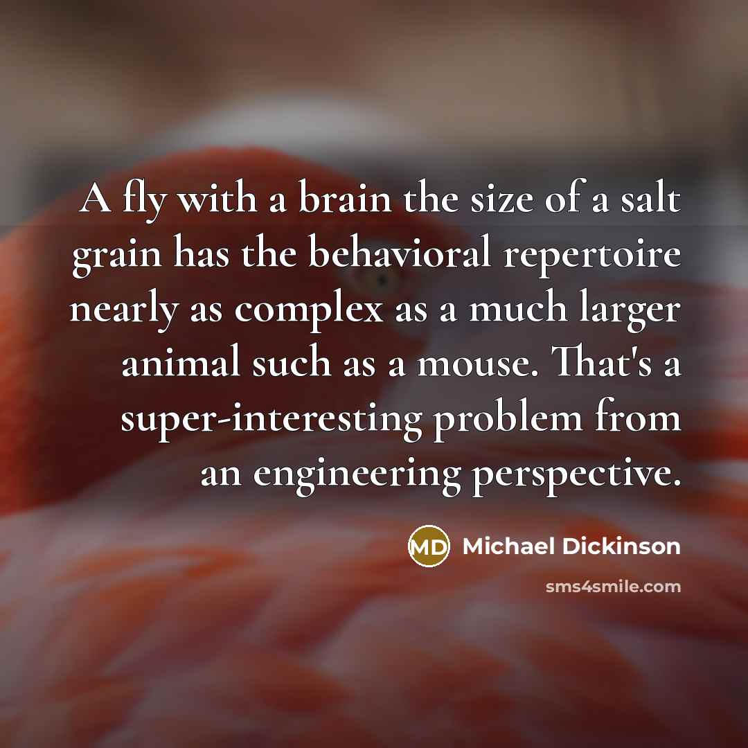 “A fly with a brain the size of a salt grain has the behavioral repertoire nearly as complex as a much larger animal such as a mouse. That's a super-interesting problem from an engineering perspective.” quote by Michael Dickinson
