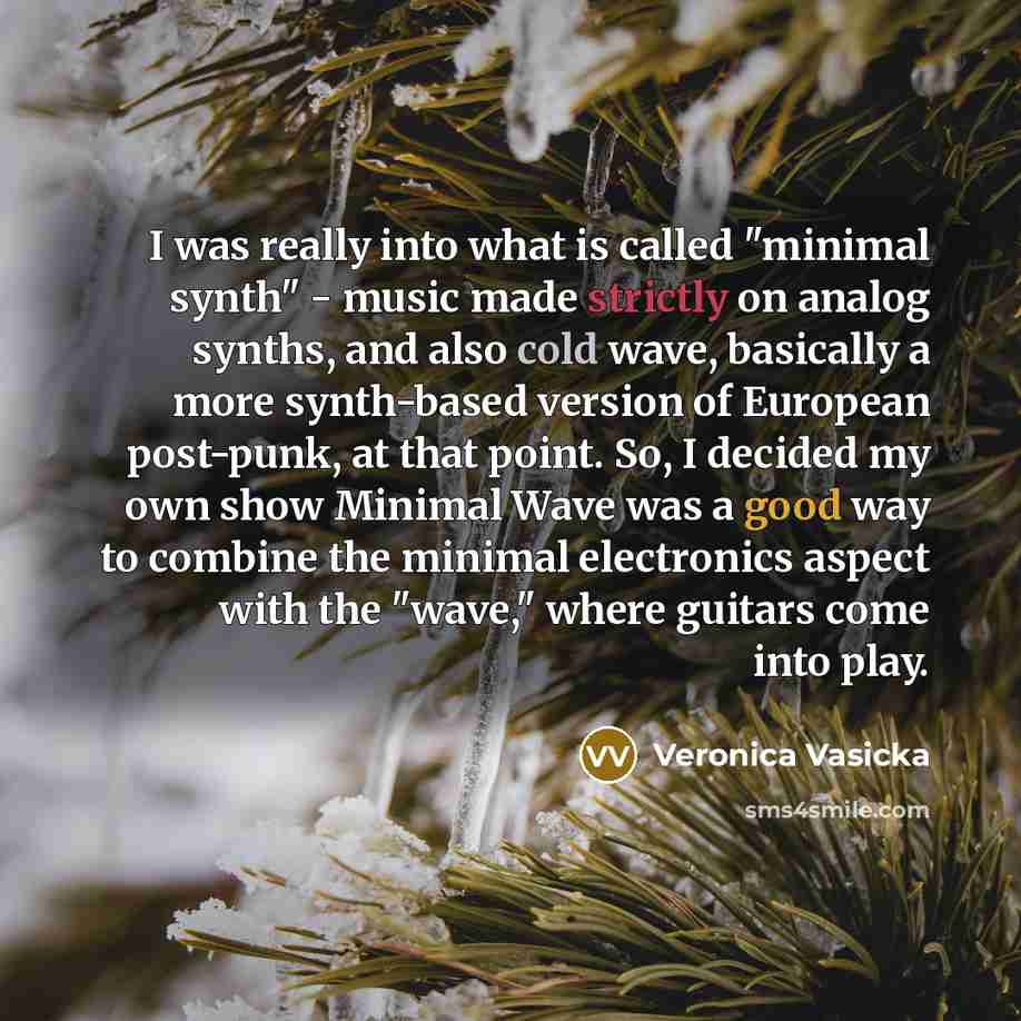 “I was really into what is called "minimal synth" - music made strictly on analog synths, and also cold wave, basically a more synth-based version of European post-punk, at that point. So, I decided my own show Minimal Wave was a good way to combine the minimal electronics aspect with the "wave,"…” quote by Veronica Vasicka