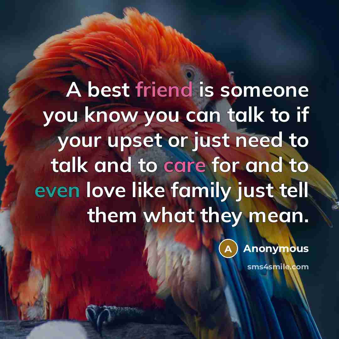 “A best friend is someone you know you can talk to if your upset or just need to talk and to care for and to even love like family just tell them what they mean.” quote by Anonymous