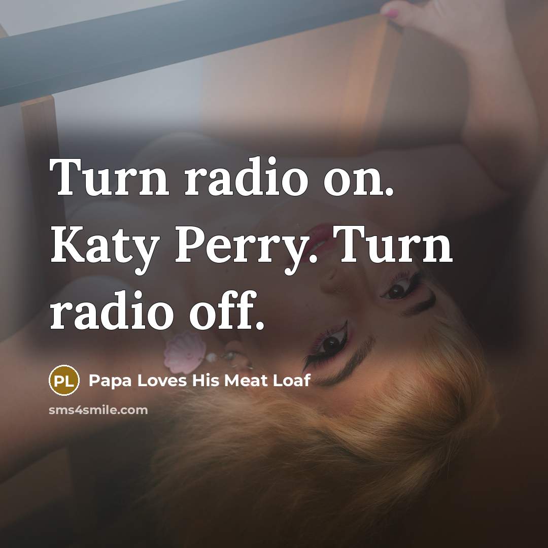 “Turn radio on. Katy Perry. Turn radio off.” quote by Papa Loves His Meat Loaf