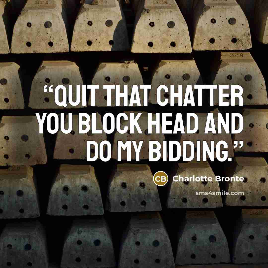 “quit that chatter you block head and do my bidding.” quote by Charlotte Bronte