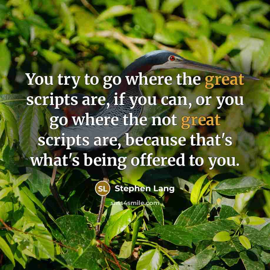 “You try to go where the great scripts are, if you can, or you go where the not great scripts are, because that's what's being offered to you.” quote by Stephen Lang