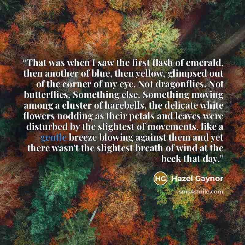 “That was when I saw the first flash of emerald, then another of blue, then yellow, glimpsed out of the corner of my eye. Not dragonflies. Not butterflies. Something else. Something moving among a cluster of harebells, the delicate white flowers nodding as their petals and leaves were disturbed by…” quote by Hazel Gaynor